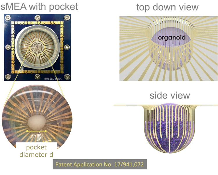organoid+patent.png
